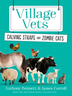 cover image of Village Vets Book 2